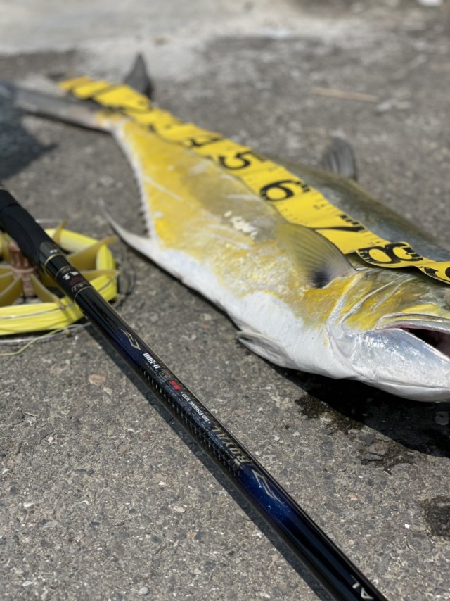 royalspecialbgh500-5